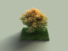 02_SGGX_TreeGrass1